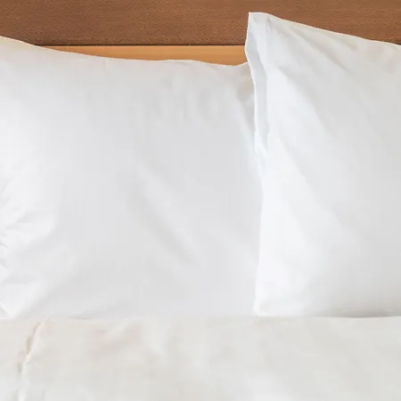 Paris - Marne La Vallee, An Ihg 4*